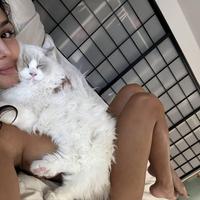 canadaescorts.ca