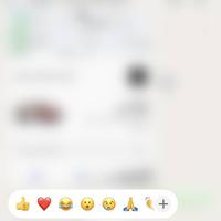 canadaescorts.ca